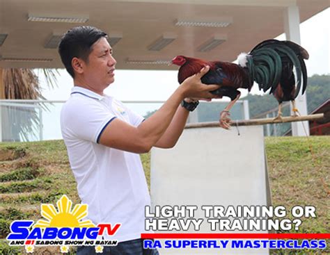 Sabong training .